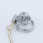 Dual Cage PA Chastity Lock - Image 2