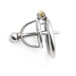 Steel Fusion PA Rod Chastity Cage - Image 3