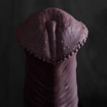 Liquid Silicone Realistic Horse Dildo - Image 3