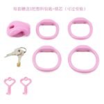 Negative Pole Chastity Lock - Image 5