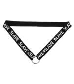 Chastity Assist Strap - Image 8