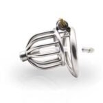 Stainless Steel Chastity Lock