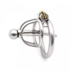 Steel Fusion PA Rod Chastity Cage