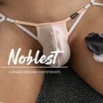 Chastity Cage Underwear - Image 5