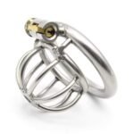 Watermelon Design Hollow Stainless Steel Chastity Cage - Image 2
