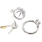 Watermelon Design Hollow Stainless Steel Chastity Cage - Image 4