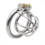 Watermelon Design Hollow Stainless Steel Chastity Cage