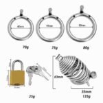 Spring-Inspired Metal Chastity Cage - Image 5