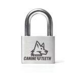Personalized Stainless Steel Lock Necklace – Free Custom Engraving